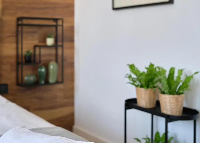 Leoapart Solny Square Apartmán Vratislav